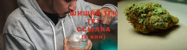 сатива Баксан