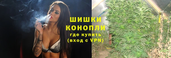 сатива Баксан