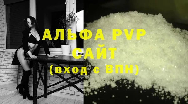 сатива Баксан
