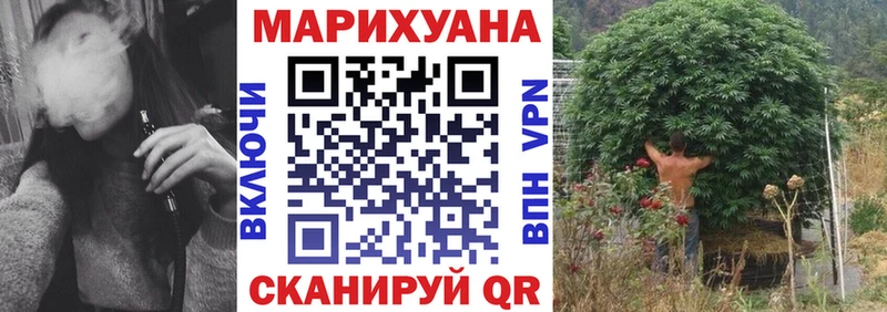 Канабис сатива  Котельнич 